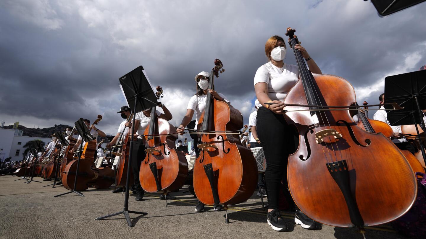 Bass orchestra deals